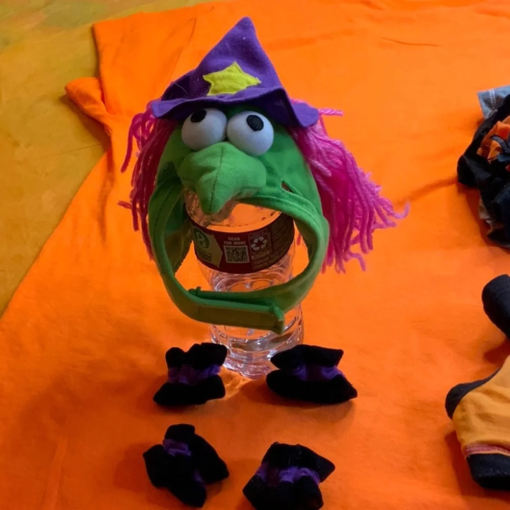 Halloween Pet costumes